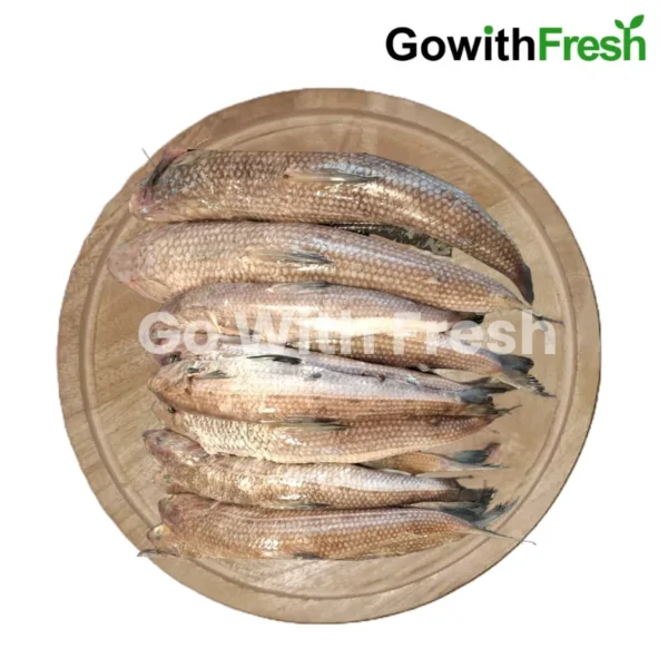 Chor-Bombil-Fish