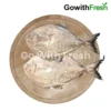 Halwa Fish