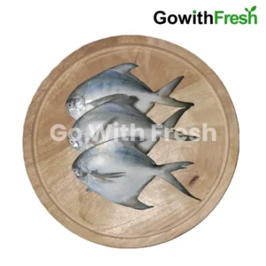 Paplet-Pomfret-Fish
