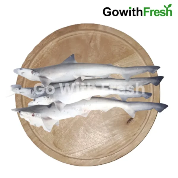 Shark-Fish