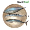 Tuna Fish